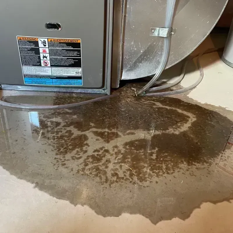 Appliance Leak Cleanup in Peridot, AZ